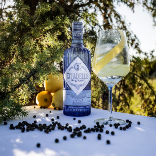 gin & tonic citadelle